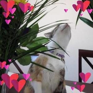 Meet your Posher, Jo anne